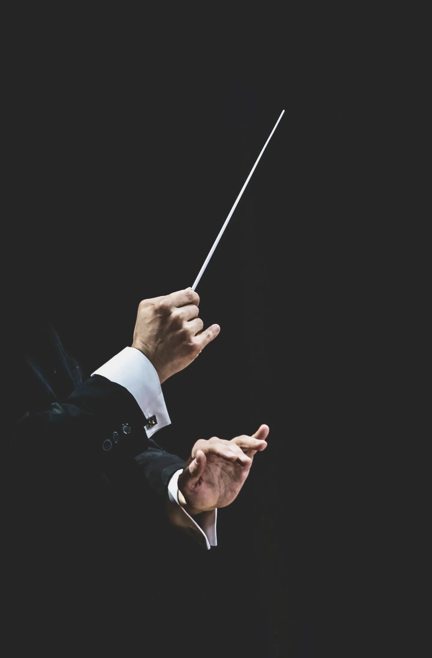 指揮棒を振る様子